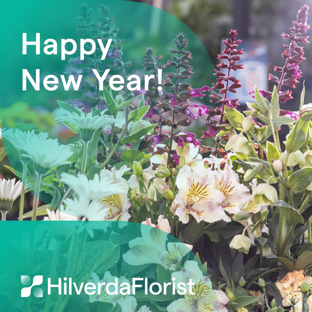 HilverdaFlorist B.V. (@hilverdaflorist) on Twitter photo ๐ช๐ถ๐๐ต๐ถ๐ป๐ด ๐๐ผ๐ ๐ฎ๐น๐น ๐ฎ ๐ต๐ฎ๐ฝ๐ฝ๐ & ๐ณ๐น๐ผ๐๐ฟ๐ถ๐๐ต๐ถ๐ป๐ด #๐ก๐ฒ๐๐ฌ๐ฒ๐ฎ๐ฟ!
We look forward to continuing sharing our passion for the floricultural industry with you!
Visit our digital recap of 2022 now: bit.ly/3IjGdbD ๐ช๐ถ๐๐ต๐ถ๐ป๐ด ๐๐ผ๐ ๐ฎ๐น๐น ๐ฎ ๐ต๐ฎ๐ฝ๐ฝ๐ & ๐ณ๐น๐ผ๐๐ฟ๐ถ๐๐ต๐ถ๐ป๐ด #๐ก๐ฒ๐๐ฌ๐ฒ๐ฎ๐ฟ!
We look forward to continuing sharing our passion for the floricultural industry with you!
Visit our digital recap of 2022 now: bit.ly/3IjGdbD