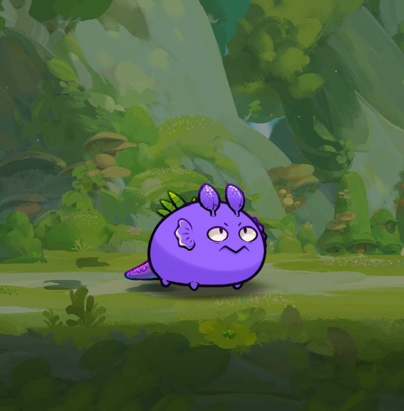 notmewriii's tweet photo. Sheeesh, i decided to buy 2 poison axies &amp; this little cute axies are now members of my family. Need 1 poison to complete my dream team &amp; to try  it in the arena but i don't have enough budget yet maybe next time. Lezgoo!🔥

#AxieOrigins #AxieIfinity https://t.co/pcAYnTWQm7
