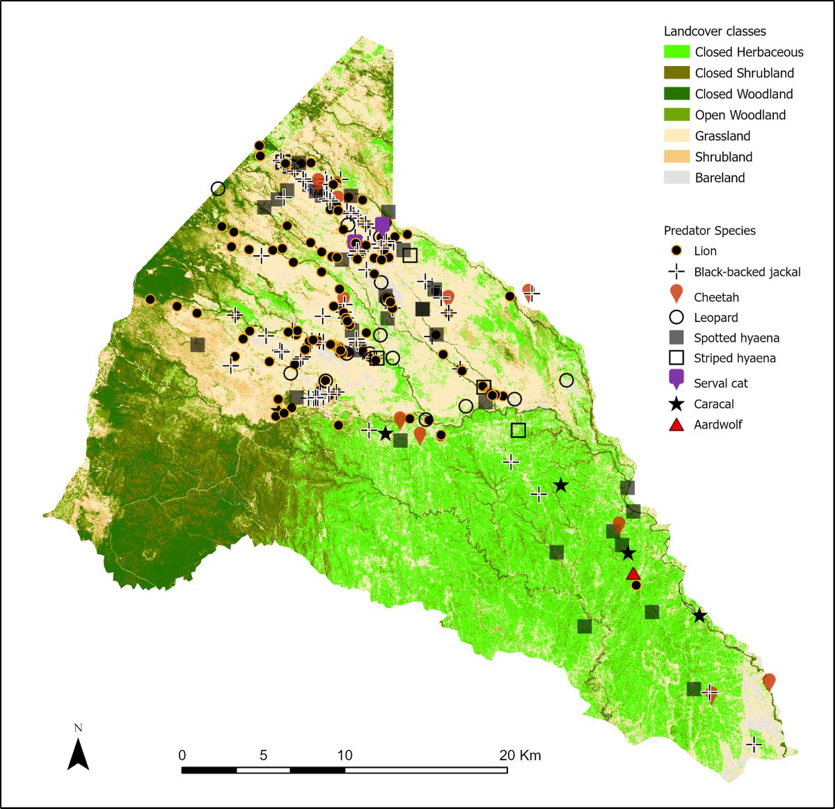 Remote Sensing and Geographic Information System (GIS) technology has revolutionized the study and monitoring of wildlife habitats and resource utilization. Our GIS officer, Linda Kimotho developed a map showing how predators are utilizing the different habitat types within Meru.