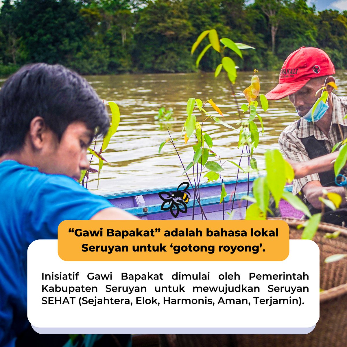kalekaindonesia's tweet photo. 🗣“Gawi bapakat” adalah seruan untuk ‘bergotong royong’ dalam bahasa lokal di Kabupaten #Seruyan.

#Kaleka #TransitiontoExcellence #RealizingSustainability #Agriculture https://t.co/erQ2XWDo6O