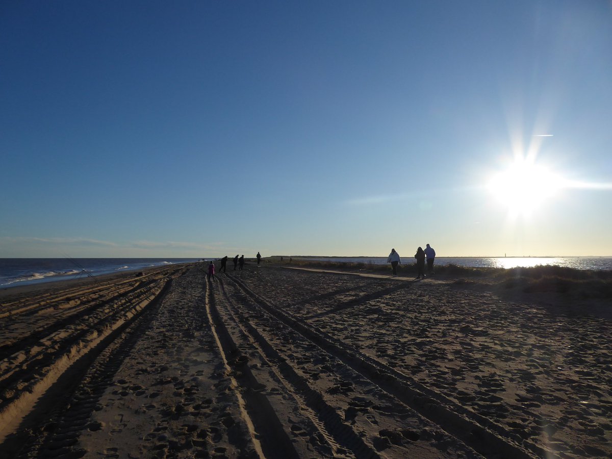 Joe Bilton tweet media