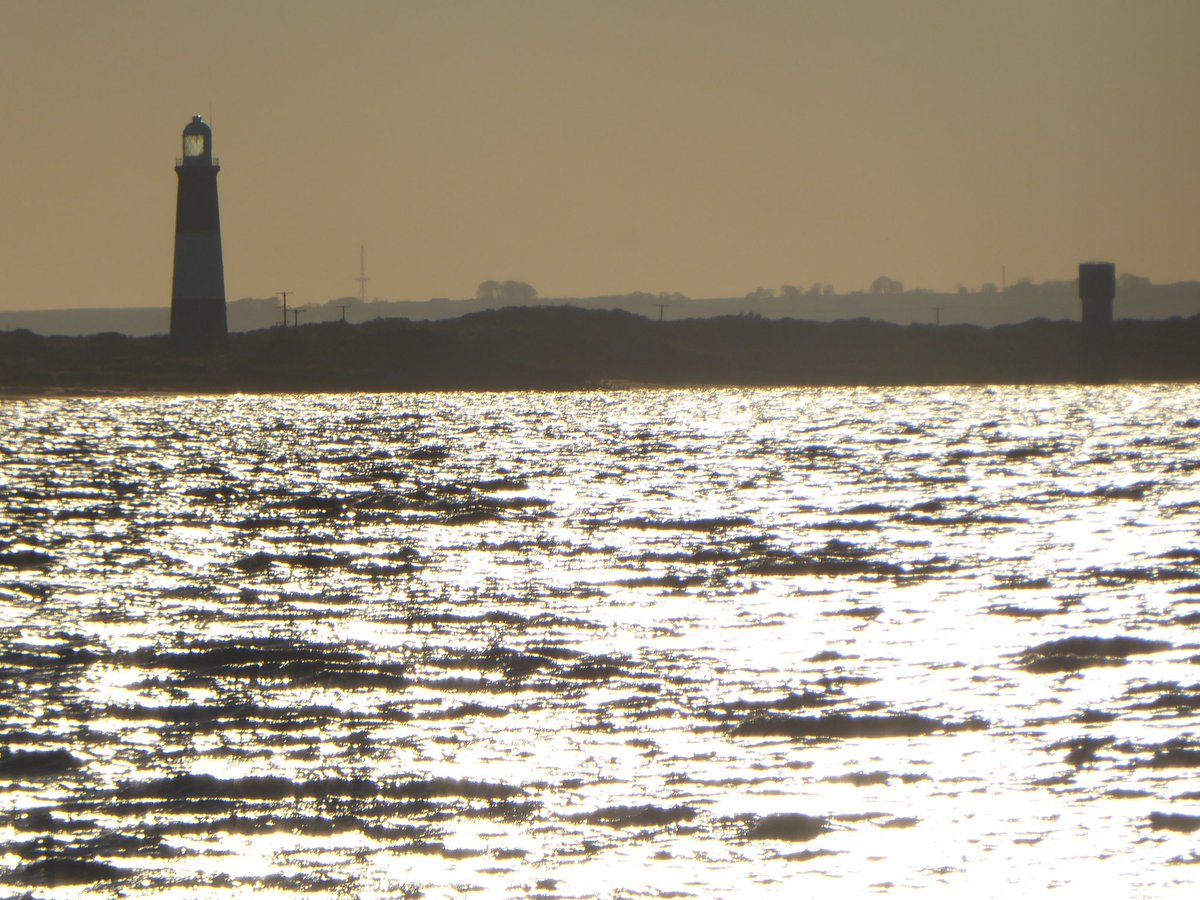 Joe Bilton tweet media