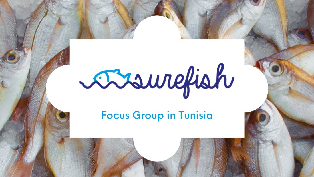 SUREFISH_EU's tweet photo. Regarding Tunisian participants, #fish 🐟 intake was quite different between the in #land and #seaside 🌊 #participants.
Download the public deliverable and read more 👉🏻 https://t.co/U87DHv1HsI
#SUREFISH #PRIMA #Safety #Mediterranean #Fishery #FoucusGroup #QualityControl https://t.co/lilakqNyXY