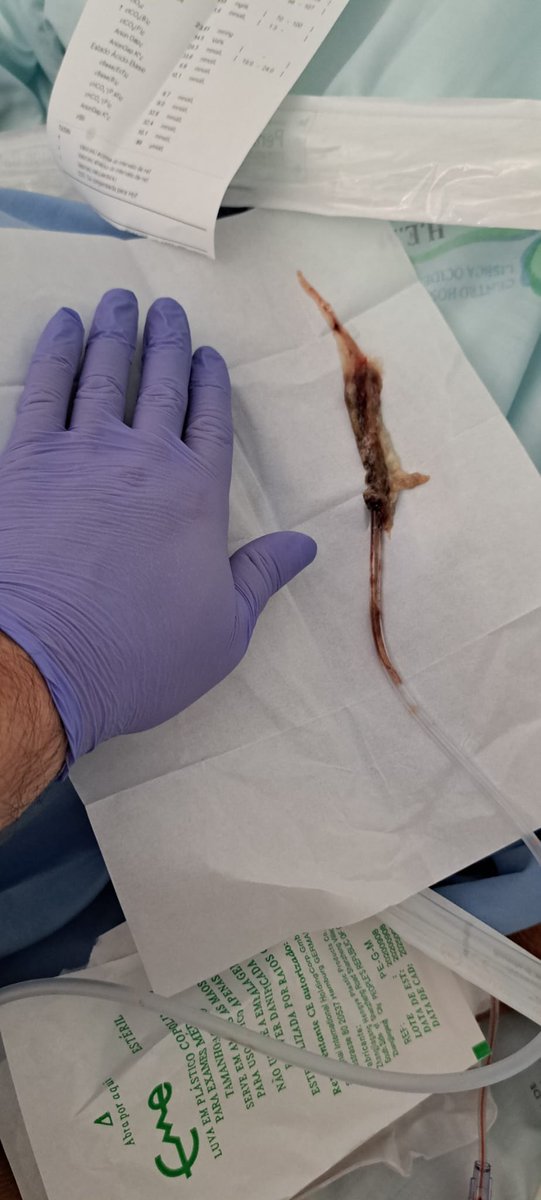 Vitor Hugo Azevedo 🫁🫀💪🏻 tweet media