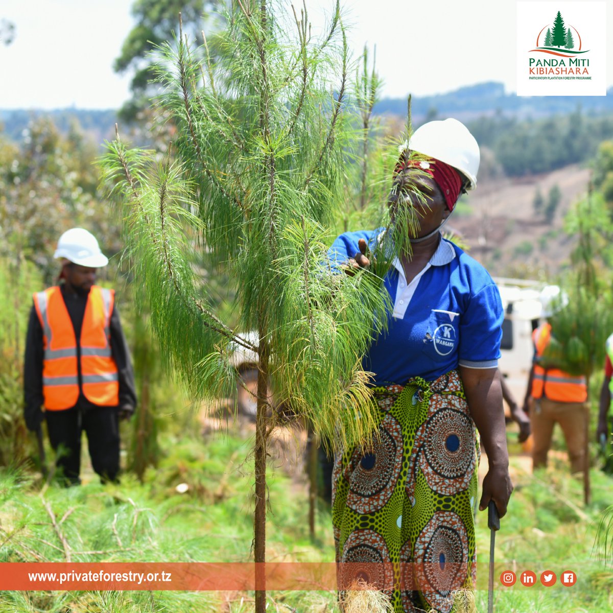 PlantationPfp2's tweet photo. Mwongozo wa uwezeshaji wa uanzishwaji na uimarishaji wa vikundi vya wakulima wa Miti.
🌲🌲🌲🌲
kwa maelezo zaidi pitia katika link hapo chini.
👇🏾👇🏾👇🏾👇🏾

https://t.co/S6encA1dpl

#Pandamitiibiashara.
#PFP2.
#Wakulimawamiti. https://t.co/X1v2SZKbX9