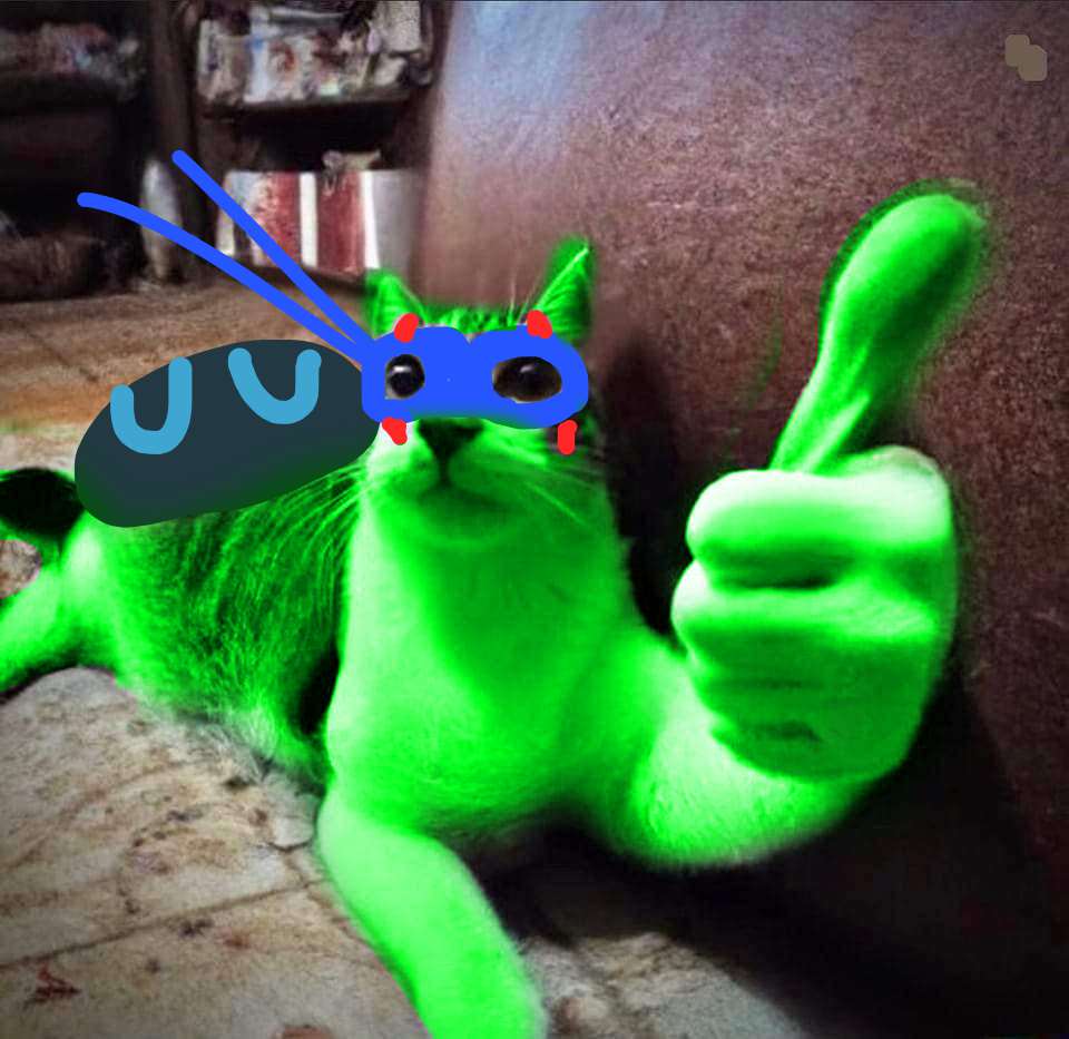 hylwicks's tweet photo. Tweet like TMNT was real https://t.co/2USNmvmVKo