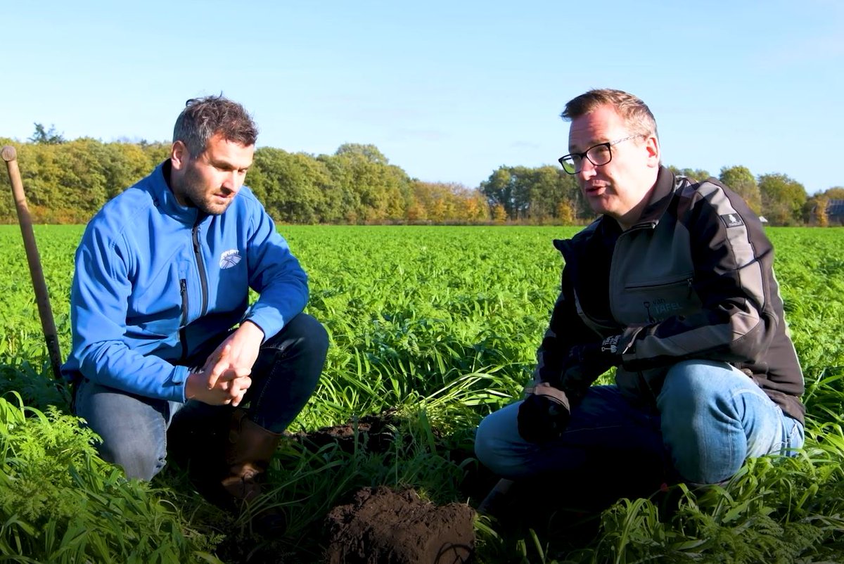 Duurzaam, efficiënt produceren + goed inkomen; kan dat samen gaan? Volgens het Boeren Innovatie Netwerk de Peel wel. 
Bekijk hier de trailer: youtu.be/wrmKTOkllQ0
Zelf aan de slag? 
agroproeftuindepeel.nl/actualiteit/bo…

#kringlooplandbouw #stikstofbenutting