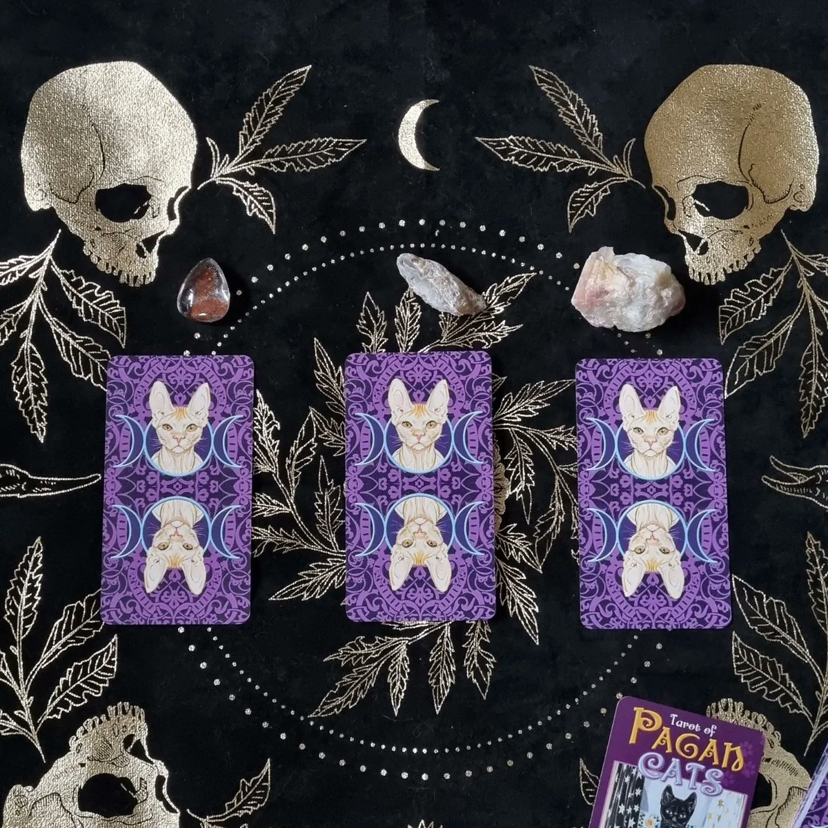 eumenidesart's tweet photo. https://t.co/i9hnUvbTNx first full moon reading for 2023 🌕📖 https://t.co/1PjgSEbDBB