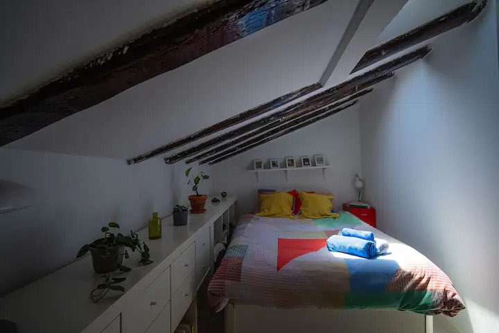 Repollis tweet media