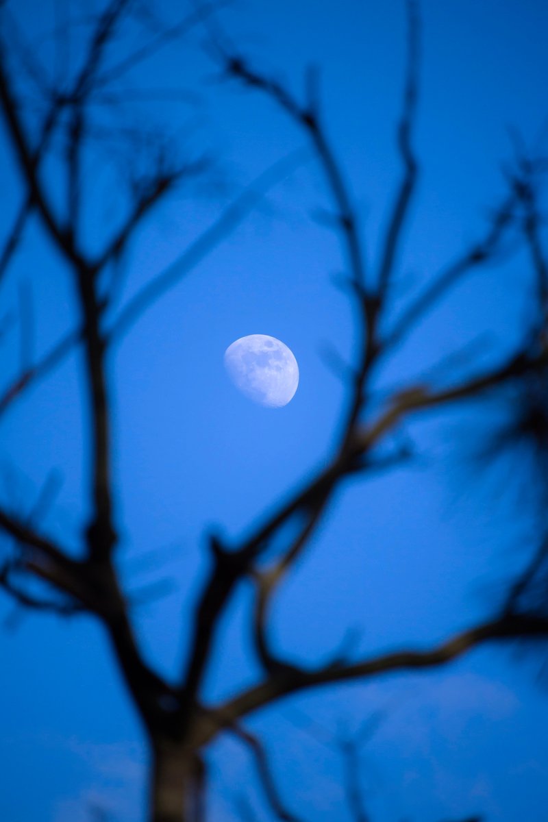 terupapa39's tweet photo. #スナップ #CANON #EOS #EOS_KissX7 #EF_S55_250mm https://t.co/982h8Go3Cl