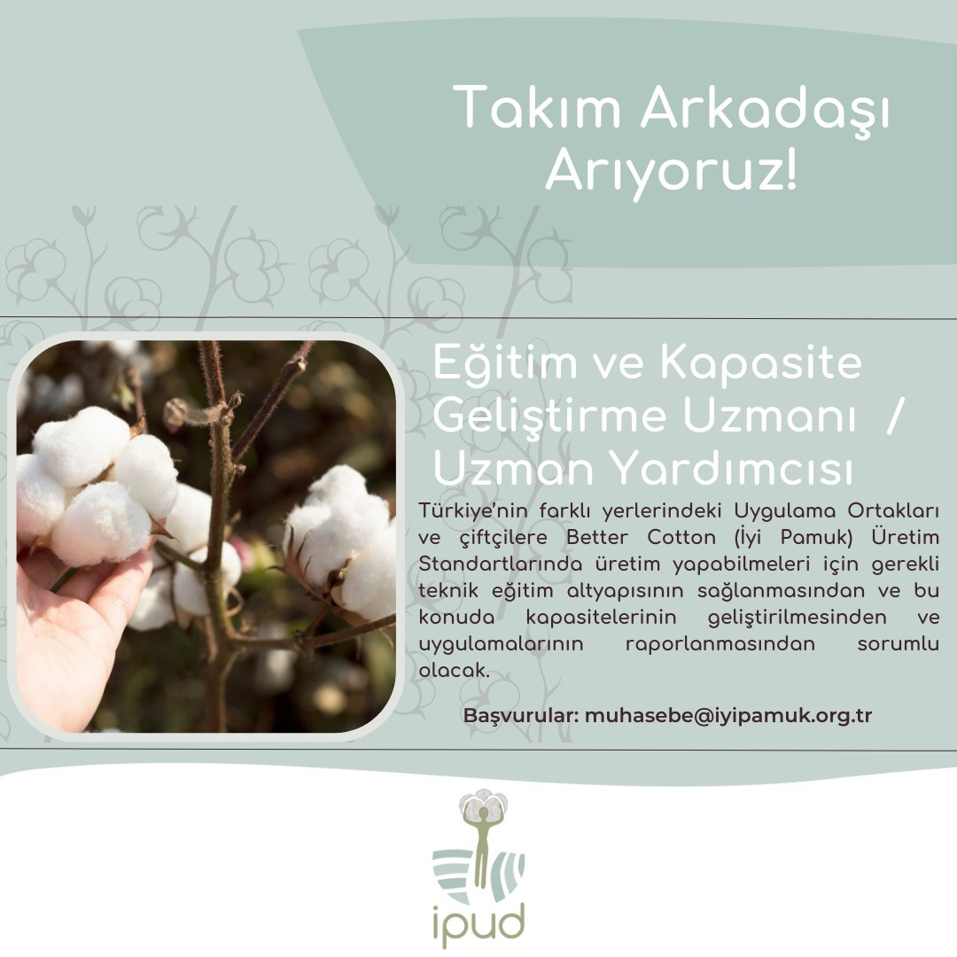 iyi_pamuk's tweet photo. Takım Arkadaşı Arıyoruz!
Derneğimiz Eğitim ve Kapasite Geliştirme Uzmanı/Uzman Yardımcısı arayışındadır.
Pozisyon tanımı ve başvuru için: https://t.co/tPHbHE1WNc
Son başvuru tarihi: 15 Ocak 2023!
#iyipamukuygulamalarıderneği #ipud #işilanı #eğitimvekapasitegeliştirmeuzmanı https://t.co/RSpo9yOSK8
