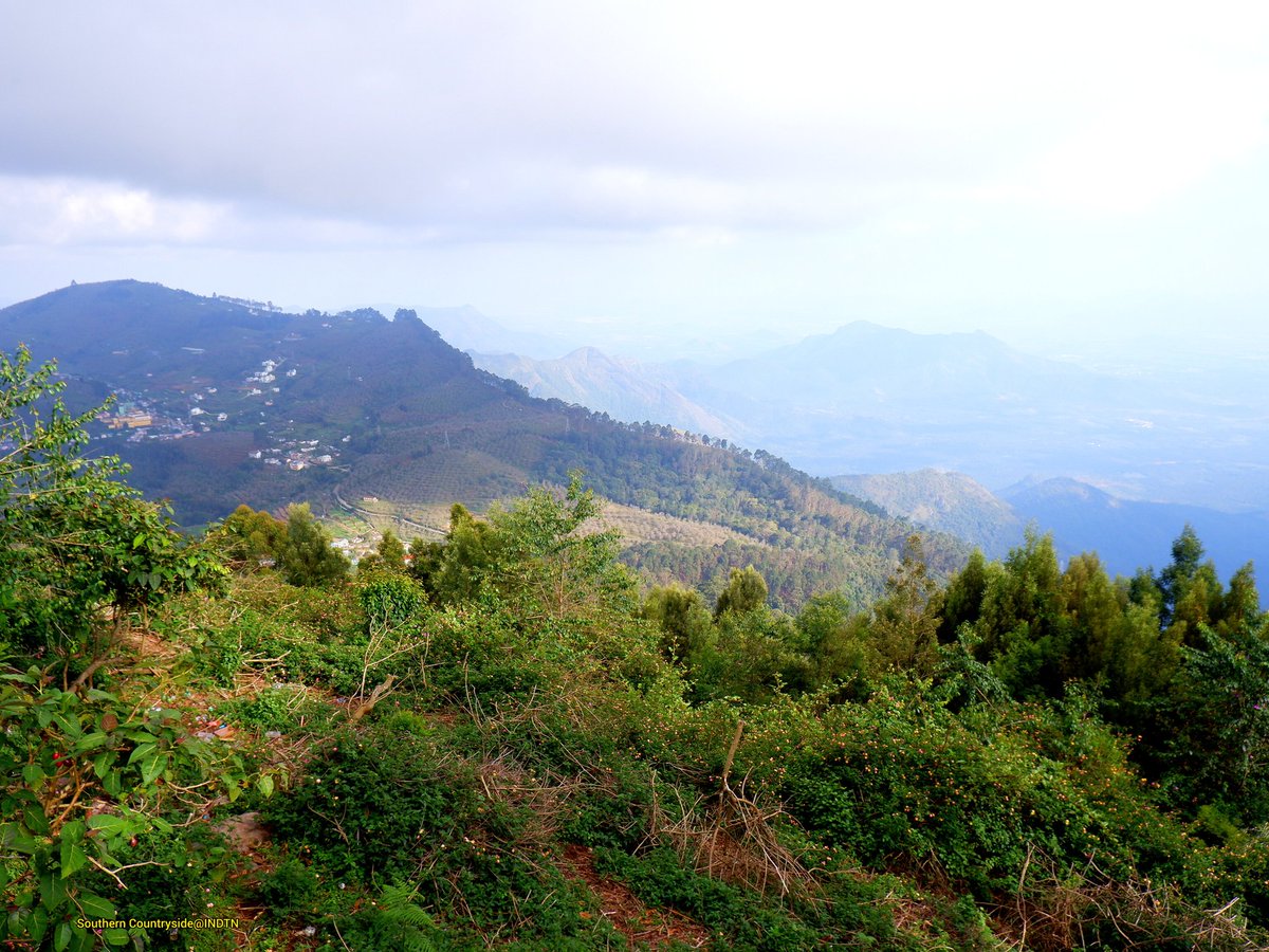 Souther33872045's tweet photo. Beauty Of Western❤️ Coaker'S Walk💕Kodaikanal💖Southern Countryside💞
.
.
.
.
.
#lovenature #savenature #spreadlove #beautifulwesternghats #beautifulplaces #kodaikanal #southerncountryside #fujifilm #beautyofsouthindia #tamilnadutourism #coakerswalk #beautyfullhillstation https://t.co/xGMtNYYQBC