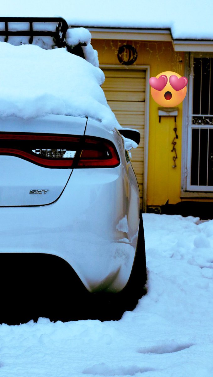 ItsWubsky's tweet photo. My daily. She a little stuck. #photography #dodgedart #dabooty https://t.co/3edPvTfUIO