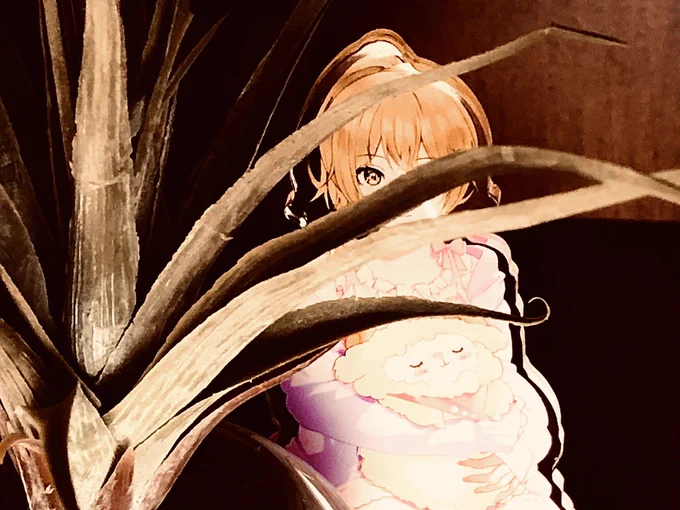 写真を撮るのが楽しくなってきた我が家#さきねるらいぶ#さきねるあーと 