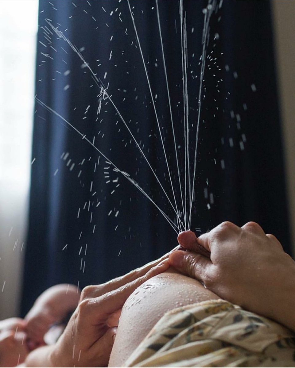 <a href="/harryelsocio/">Alégrame el día</a> Disfruta