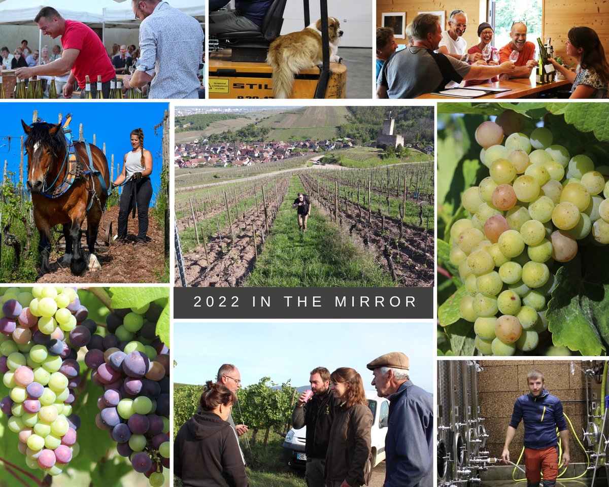 DomaineEnvol's tweet photo. Full of good memories !
#domainedelenvol #year2022 #alsacerocks #drinkalsace #wineckschlossberg #biodynamics #familywinery https://t.co/hWeSz6hWWX