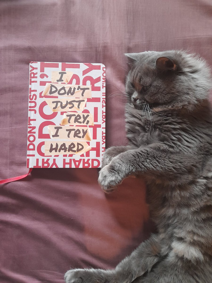 gebangsal's tweet photo. Yeah. This year, I will try harder, so 2023 bring it on.😉
Love this planner from @lyqamaravilla
I'm so kilig with the message. Hihi. Thank you🥰 https://t.co/iY8Xq87Yx6