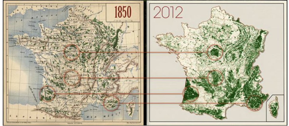 Une autre carte des surfaces forestières depuis 1850 : impressionnant ?