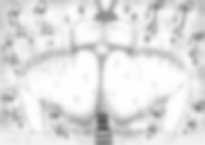 初仕事の様子はこちらで公開しています。
FANBOX https://t.co/JtyBKsG5Kz

Fantia https://t.co/hItgJvVrRF 