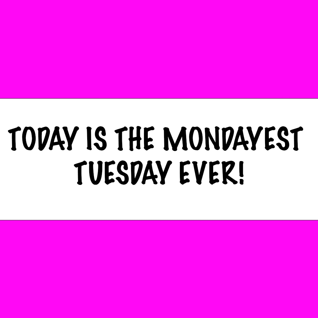 Happy New Yearrrr 🤣🤣🤣