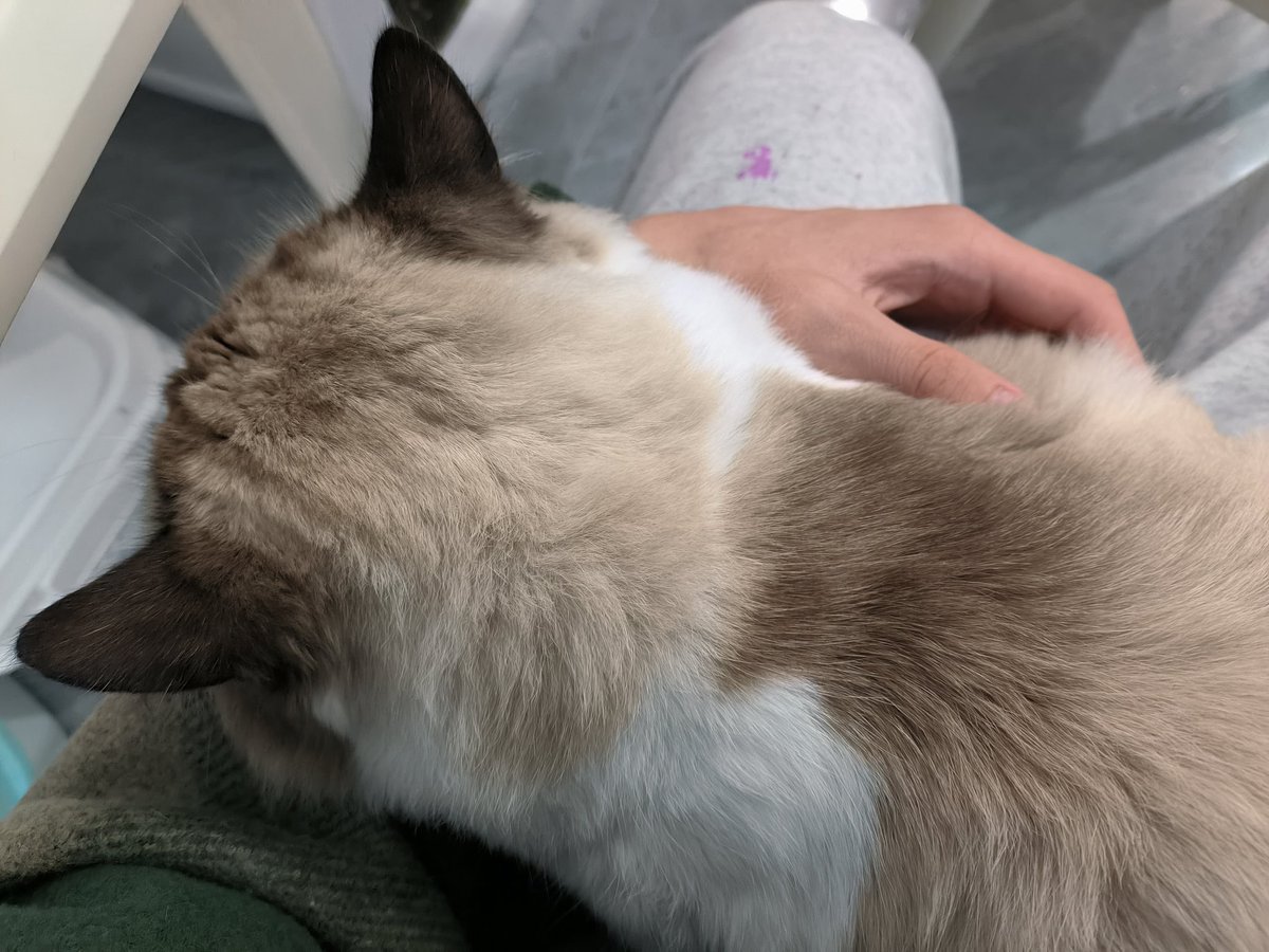 2023 🔥 新年目标🙏： 1⃣️工资能涨到8000人民币每月。 2⃣️分期买红米K60 Pro。 3⃣️去优衣库买一套衣服。  4⃣️攒钱坐火车去大城市吃一次麦当劳，感受大家说的疯狂星期四。 5⃣️牵上异性的手。