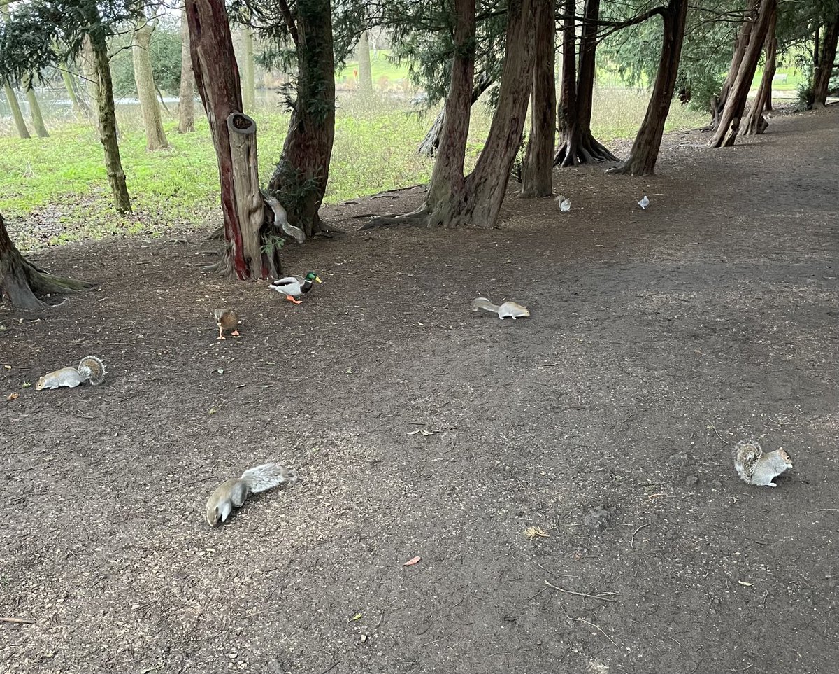 Lee Buttery tweet media