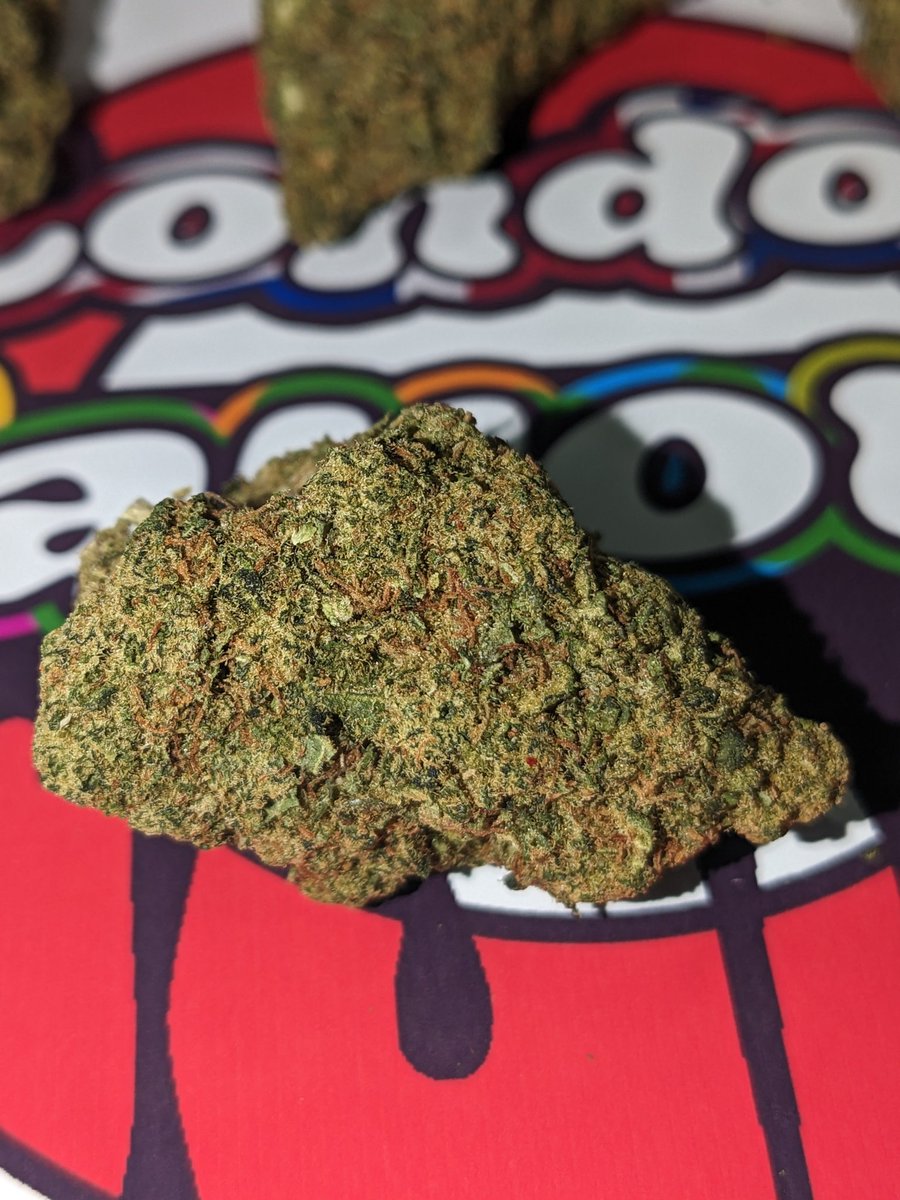 LDNFlavoursUK's tweet photo. ๐บ๐ธZookies๐ช๐ง๐โฝ๏ธ
#marijuana #dope #weed #pot #kush
#cbd #weedlife #weedsmokers #weedcommunity #420friendly #420uk #DANK #LDNFlavoursUK #cannabislife #CannabisNews #THC
#Cannabis #Ganja #WeedPorn #WeedHumor #420life #STONER #WeShouldSmoke #instaweed #WeedPorn #HighLife #Weedpost https://t.co/OkhiSwxPvl
