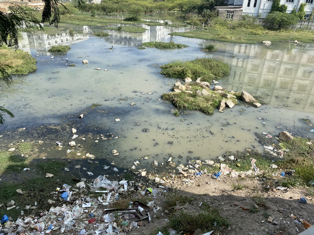 Sm381998's tweet photo. @KTRoffice @KTRTRS  sir.. venkatarama colony behind mallareddy hospital suraram horrible smell nd fly/mosquito nuisance thousands of ppl r living amidst this filth kindly look into this.. need a permanentsolution @DC_Quthbullapur @ghmc ppl r letting sewage water into this land https://t.co/IzYQM7vQJW