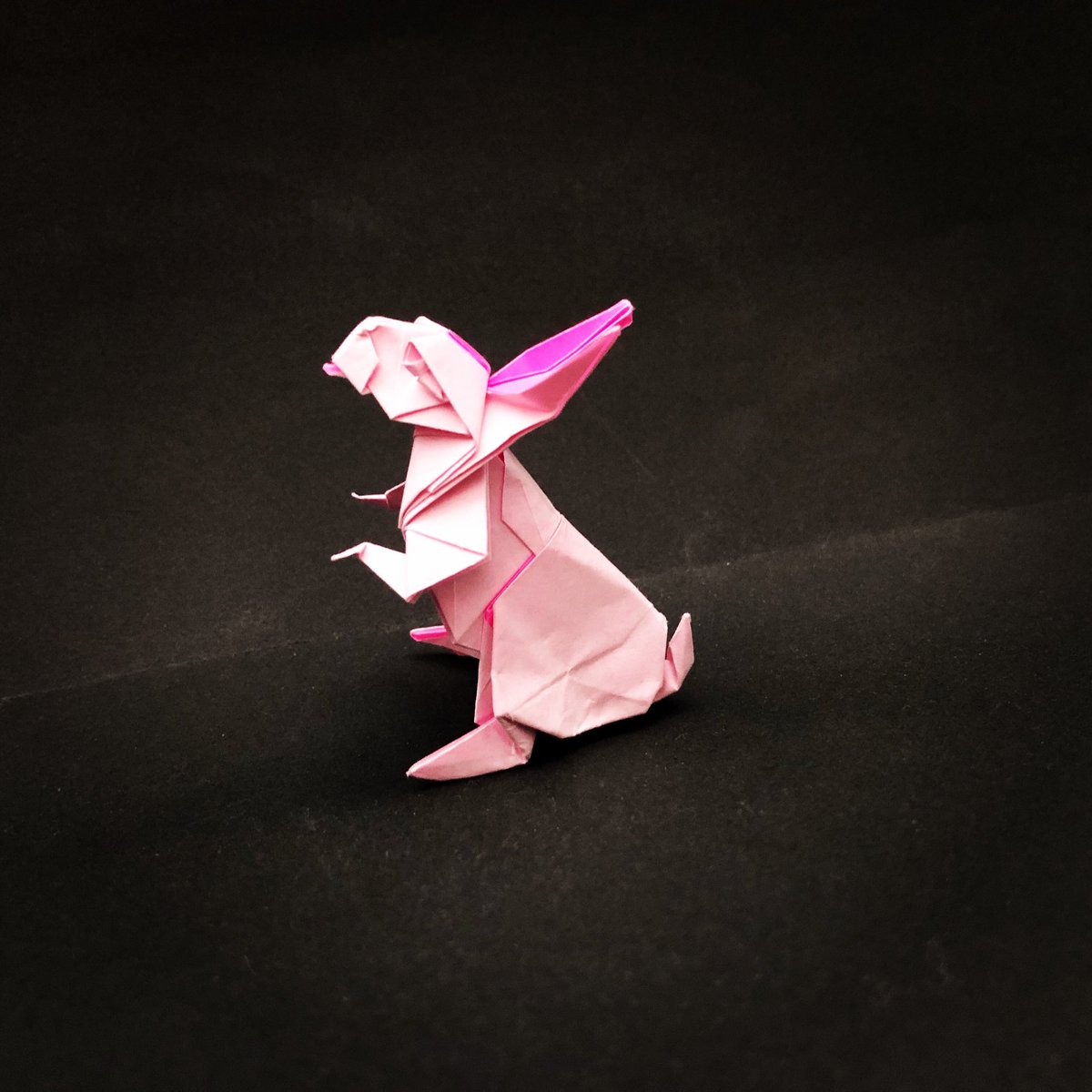ykitano's tweet photo. あけましておめでとうございます。15cm折り紙用紙から干支にちなんでウサギを折りました。最近全然折れてない。。
#折り紙 #origami #端正な折り紙 #ウサギ #ロナルドコウ #ronaldokoh #rabbit https://t.co/56rIxzaD2r