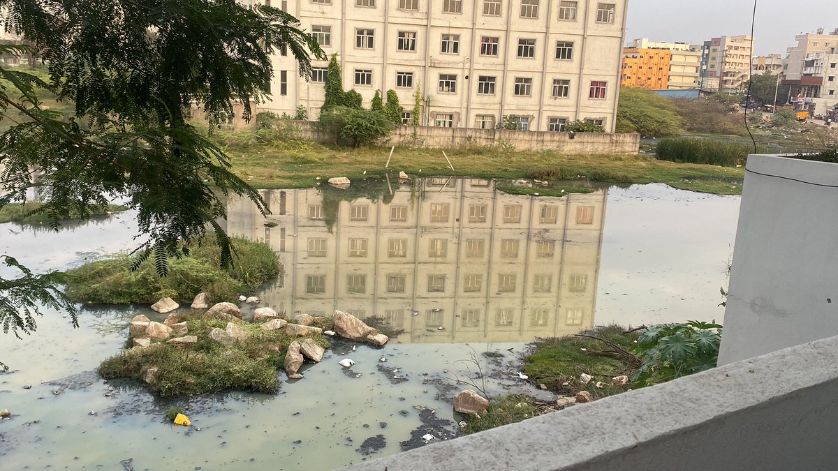 Sm381998's tweet photo. Dear sir 1000 s r living amidst this filth horrible smell fly/ mosquito nuisance ppl r letting sewage into this land for mnths.. is asking not to be wanting to live amidst sewage a big thing? Kindly look into this behind mallareddy hospi https://t.co/0zg4cDJkM2