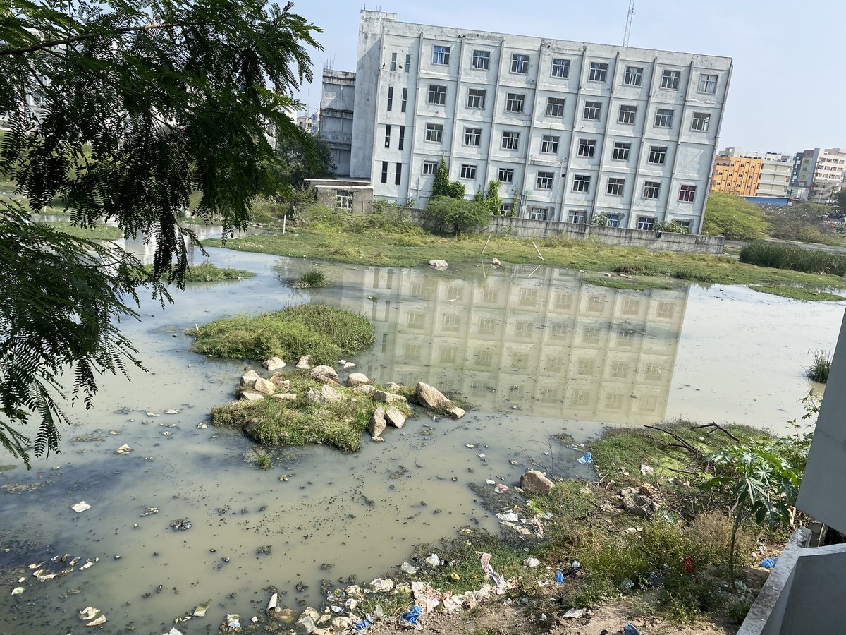 Sm381998's tweet photo. Dear sir 1000 s r living amidst this filth horrible smell fly/ mosquito nuisance ppl r letting sewage into this land for mnths.. is asking not to be wanting to live amidst sewage a big thing? Kindly look into this behind mallareddy hospi https://t.co/0zg4cDJkM2
