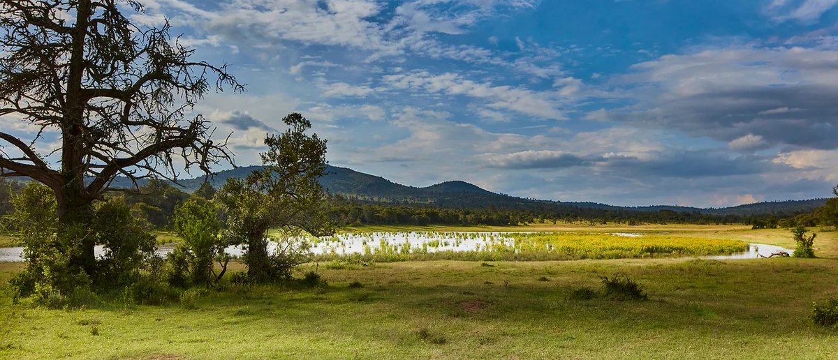 AlvahTours's tweet photo. Visit Lolldaiga Hills conservancy and enjoy 4 of the Big 5. Also pass by the the two rivers that don't mix i.e. Sirimon and Nyariginu at Daiga Muramanti.
#alvahtours #safari #wildlife #beautiful #bucketlist #adventure #nature #wanderlust #picoftheday #tembeakenya #EnflasyonFarkı https://t.co/A8mVZ2BhIe