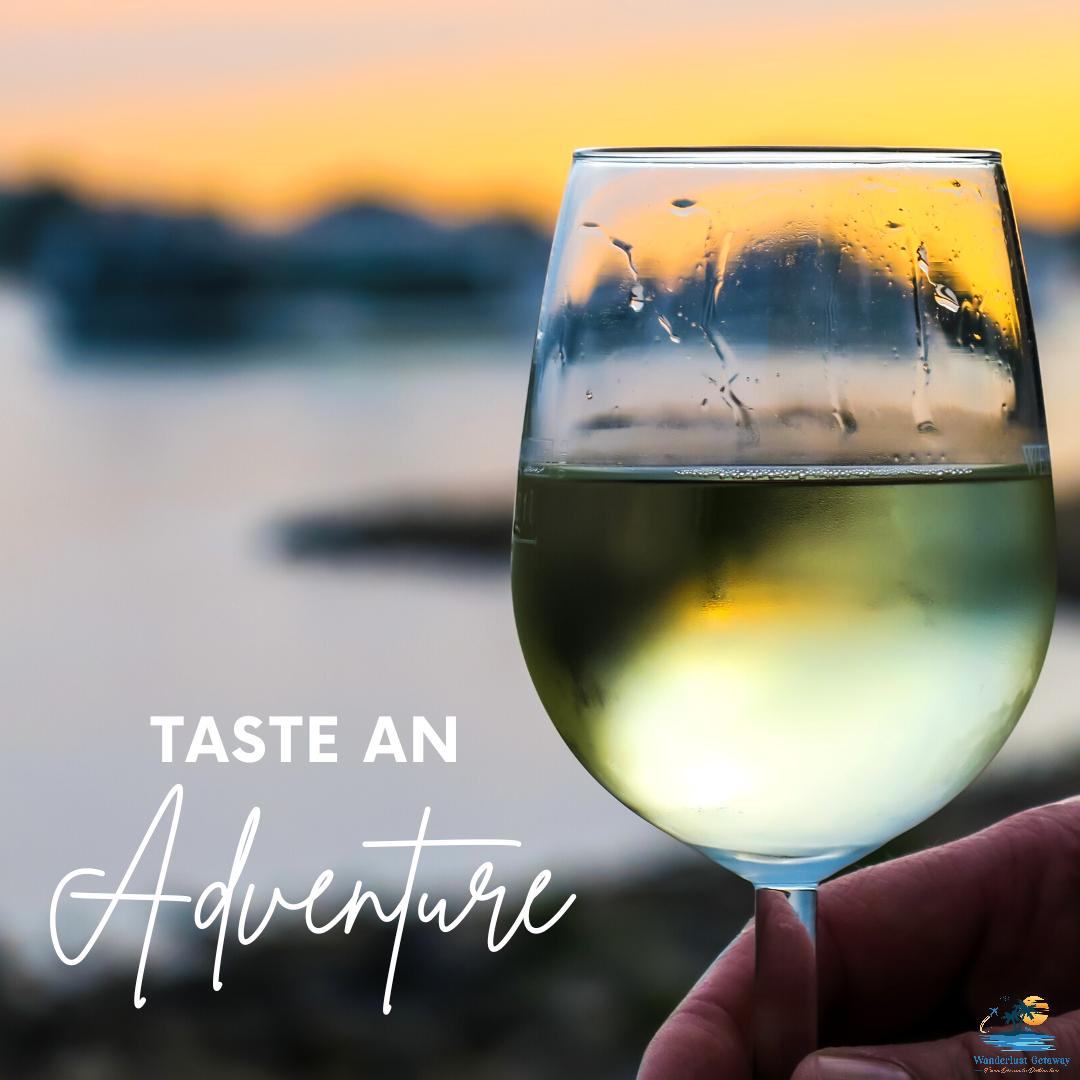 Whether you're a wine newbie or a connoisseur, there's no better way to explore the world than by tasting it. 🤤

#wine #explore #travel #taste #winetravel #winelover #winetasting #winery #winetours #winedestinations #winerylovers #seekwine #seekmoments #foodievacation #luxury...