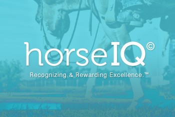 Is gaining more knowledge about the equine industry one of your New Year's resolutions? horseIQ is the perfect tool! horseIQ courses teach exhibitors, professionals, judges, and competitive horse judgers what carded judges are looking for in a wide variety of disciplines.✏️