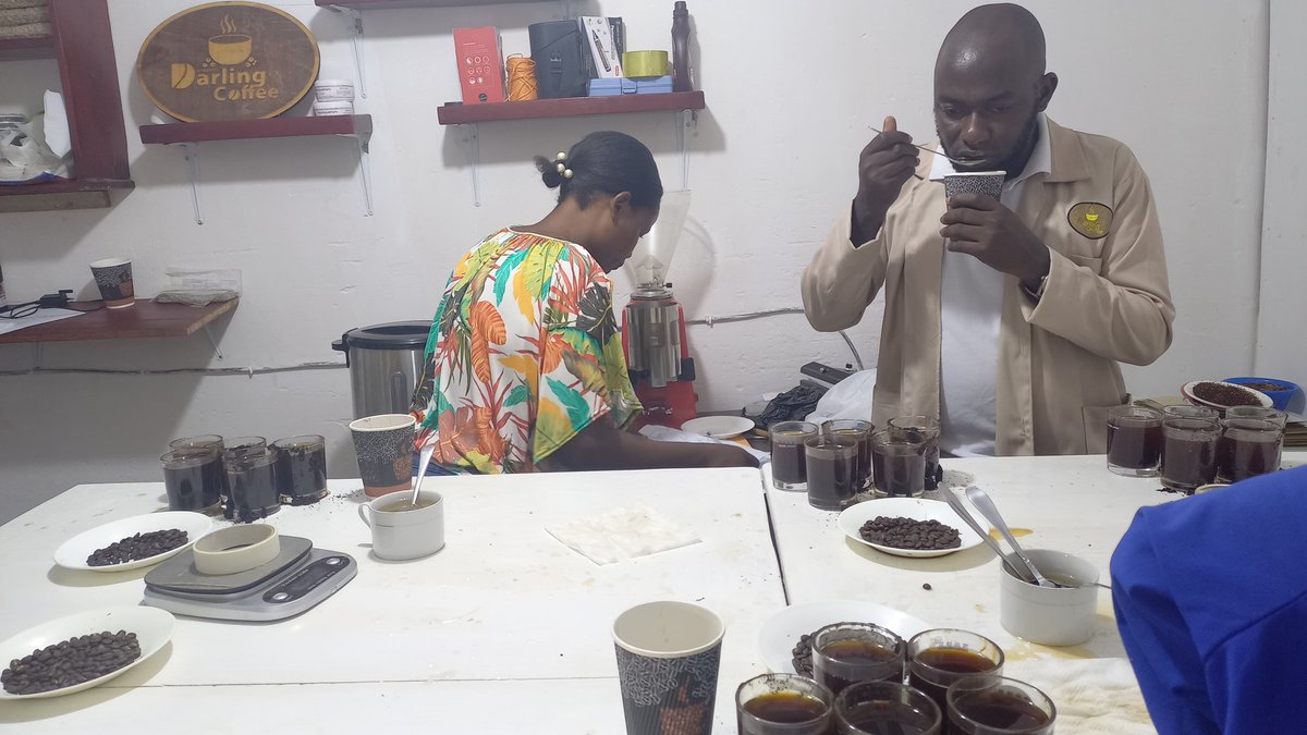 darling_ug's tweet photo. About today's #SensoryAnalysis😋#Cuppingsession. 🌱🍒❤☕
🌱🌱🍒🍒🍒🍒☕☕☕☕
#Microlots✅
#MtElgonSpecialtyCoffee✅
#QualityAssurance✅ https://t.co/CQI6uA2zzD