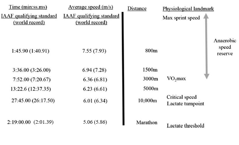 <a href="/Dr_Weyand/">Peter Weyand</a> <a href="/japplphysiol/">Journal of Applied Physiology</a> Why is this the case?

Because average intensities of this event take place beyond VO2max.

And these landmarks are most relevant to the 800m and 1500m running performance demands shown below: