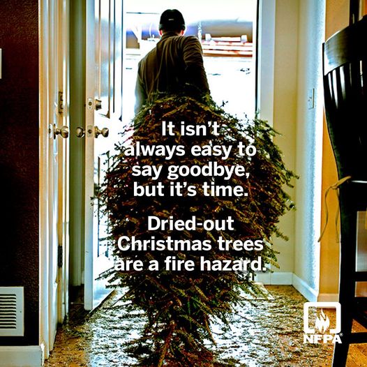 HanoverFireEMS1's tweet photo. As we enter into 2023, make sure you dispose of your tree! Please remove trees from your homes and dispose of them in an appropriate manner. Stay safe Hanover!
#TeamHanover #FireSafety https://t.co/JKKfAM5zlr