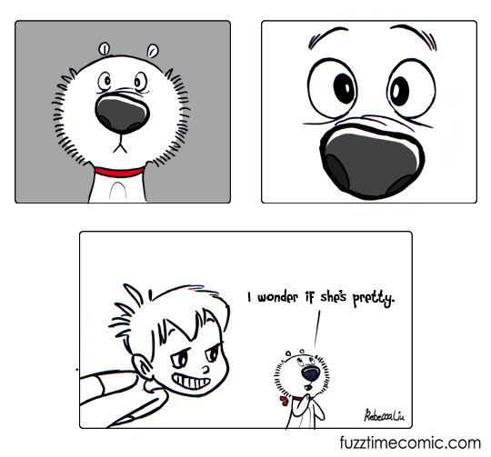 SnugtheAmazing's tweet photo. A newcomer! #comics #funny #family #kids #pets #art #animals #Memes https://t.co/bmvqDufILR