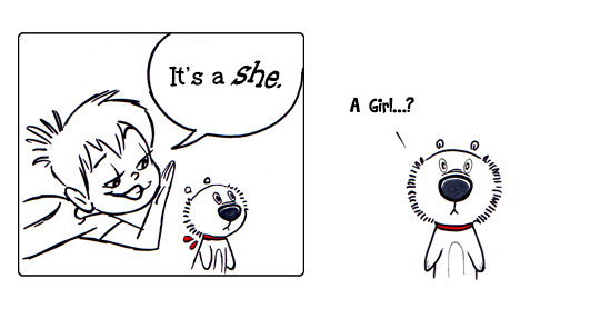 SnugtheAmazing's tweet photo. A newcomer! #comics #funny #family #kids #pets #art #animals #Memes https://t.co/bmvqDufILR