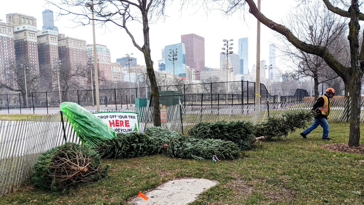 ChicagoParks's tweet photo. When that pine tree smell has worn off & there are more pine needles on the floor than on your π tree, it's time to let it go.
Drop-off your tree at 26 parks f/ Jan. 7-22. π https://t.co/hyTlY6EvAU. *Remember to remove all your decorations. #treerecycle https://t.co/KUc7xZwP6K