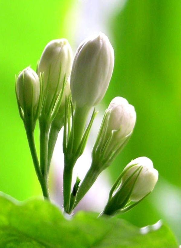 786dewdrop's tweet image. Don't judge me until you know me, Don't underestimate me until you challenge me,
And.....
Don't talk about me until you talk to me.