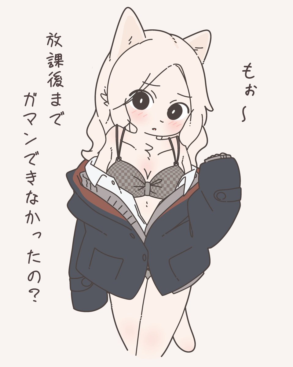 最近色々な白ネコ 