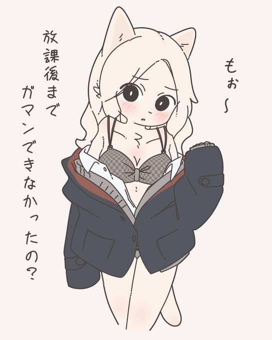 最近色々な白ネコ 