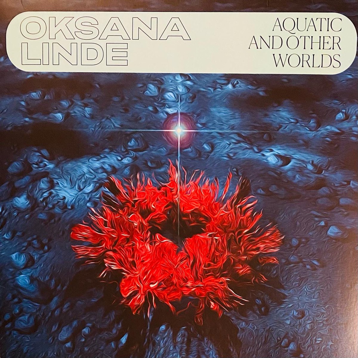 Christophe Schenk 🎧 tweet media