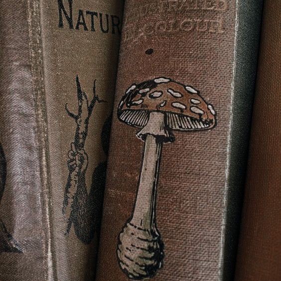 devllie's tweet image. • 𝐋𝐢𝐝𝐨𝐬 𝐝𝐞 2023ﻬ   —   a thread • 

"𝙰 𝚋𝚎𝚕𝚎𝚣𝚊 𝚗ã𝚘 𝚎𝚜𝚝á 𝚗𝚎𝚖 𝚗𝚊 𝚕𝚞𝚣 𝚍𝚊 𝚖𝚊𝚗𝚑ã 𝚗𝚎𝚖 𝚗𝚊 𝚜𝚘𝚖𝚋𝚛𝚊 𝚍𝚊 𝚗𝚘𝚒𝚝𝚎, 𝚎𝚜𝚝á 𝚗𝚘 𝚌𝚛𝚎𝚙ú𝚜𝚌𝚞𝚕𝚘, 𝚗𝚎𝚜𝚜𝚎 𝚖𝚎𝚒𝚘 𝚝𝚘𝚖, 𝚗𝚎𝚜𝚜𝚊 𝚒𝚗𝚌𝚎𝚛𝚝𝚎𝚣𝚊."