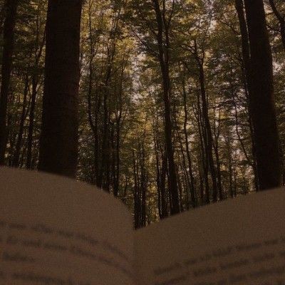 devllie's tweet image. • 𝐋𝐢𝐝𝐨𝐬 𝐝𝐞 2023ﻬ   —   a thread • 

"𝙰 𝚋𝚎𝚕𝚎𝚣𝚊 𝚗ã𝚘 𝚎𝚜𝚝á 𝚗𝚎𝚖 𝚗𝚊 𝚕𝚞𝚣 𝚍𝚊 𝚖𝚊𝚗𝚑ã 𝚗𝚎𝚖 𝚗𝚊 𝚜𝚘𝚖𝚋𝚛𝚊 𝚍𝚊 𝚗𝚘𝚒𝚝𝚎, 𝚎𝚜𝚝á 𝚗𝚘 𝚌𝚛𝚎𝚙ú𝚜𝚌𝚞𝚕𝚘, 𝚗𝚎𝚜𝚜𝚎 𝚖𝚎𝚒𝚘 𝚝𝚘𝚖, 𝚗𝚎𝚜𝚜𝚊 𝚒𝚗𝚌𝚎𝚛𝚝𝚎𝚣𝚊."