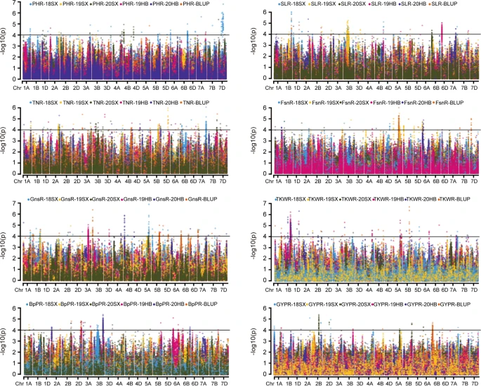 TheorApplGenet's tweet photo. GWAS identified 347 QTLs associated with eight traits related to nitrogen use efficiency in wheat
https://t.co/OrYvltxETL https://t.co/oiEu9OMPsF