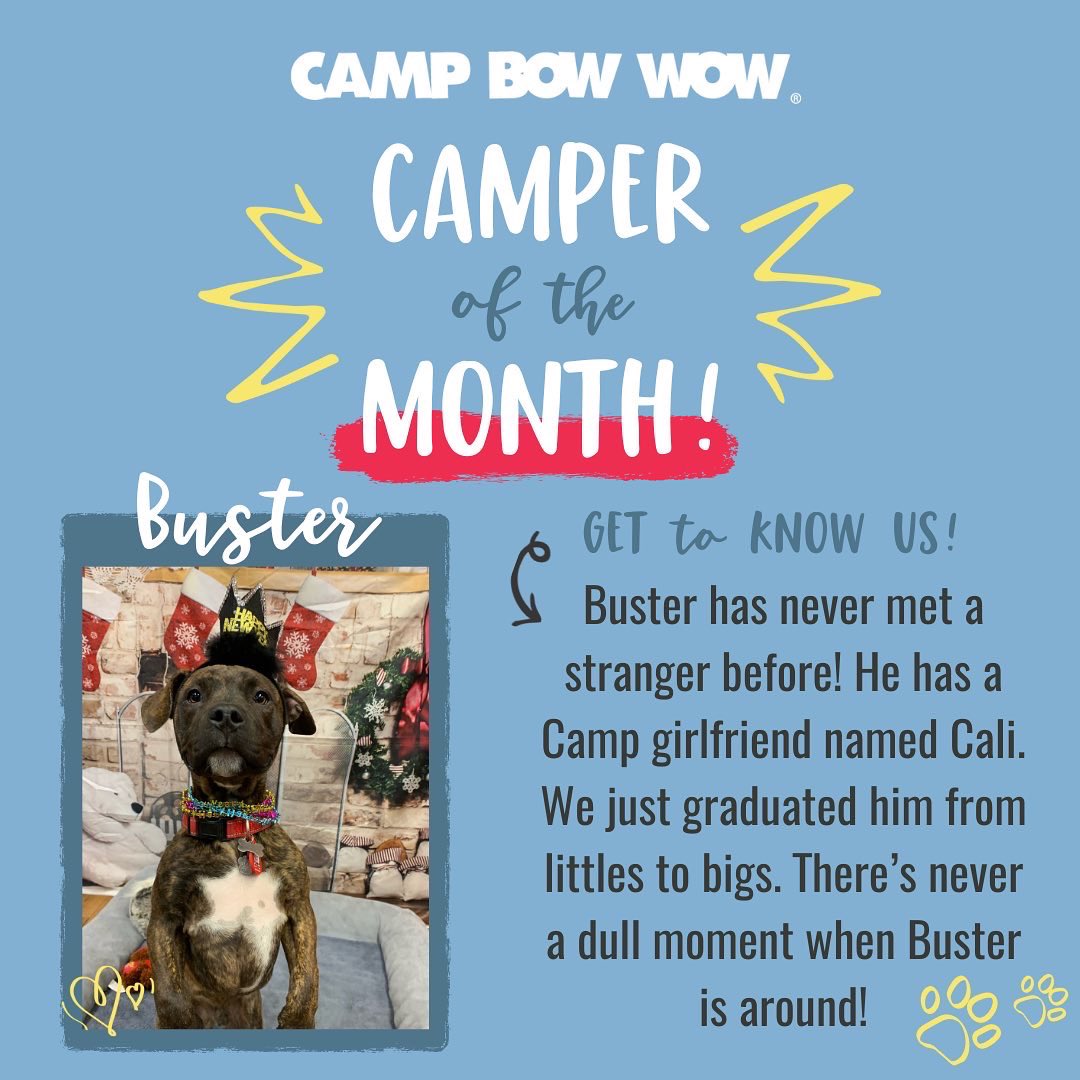 CampBowWowSC's tweet photo. Happy New Year and congratulations to our Camper and Counselor for the month of January! 🎉
#dogs #dogsoforangecounty #dogcounselor #happypup #happydog #january #campbowwosanclemente #danapoint #lagunabeach #sanclemente #orangecounty #dogsofinstagram #doglife #doglover #doglovers https://t.co/bijKlQrOMW
