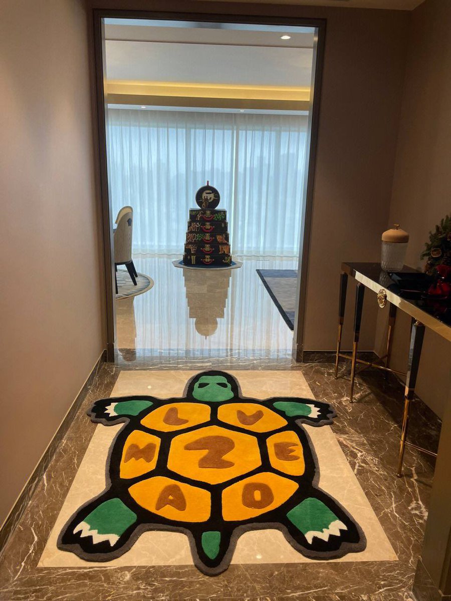 Share a big turtle on the ground.