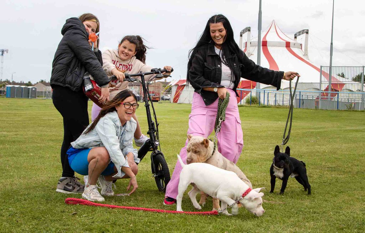 Creative Places Darndale tweet media